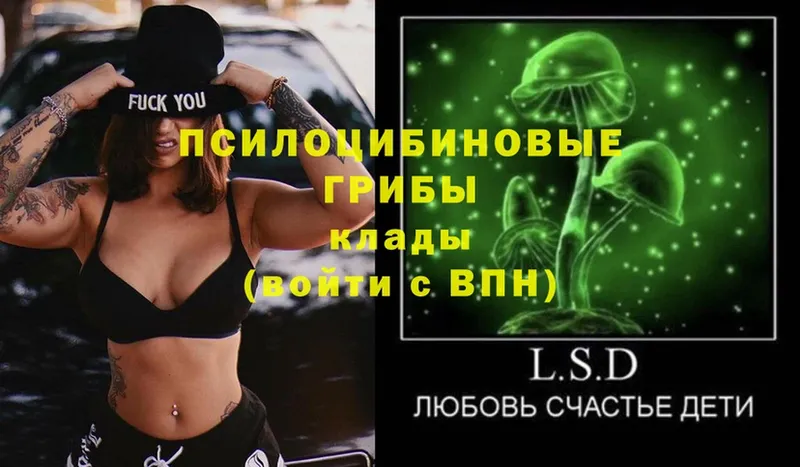 МЕГА зеркало  shop состав  Галлюциногенные грибы Psilocybe  Любим 